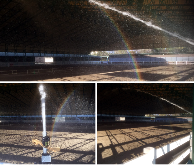 乗馬クラブ散水